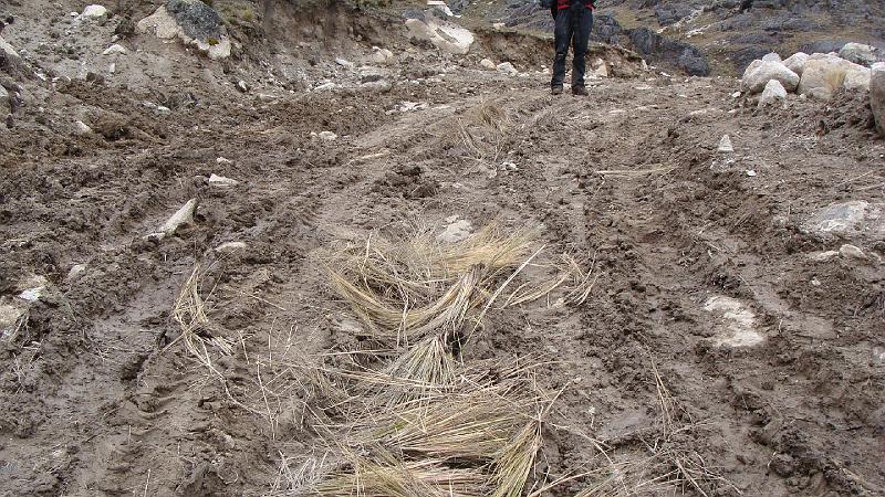 Illampu Trek Steves (91).JPG